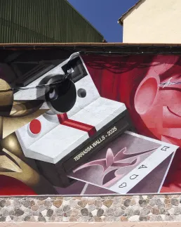 Mural camara polaroid terrassa